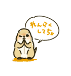 ジリスちゃんフキダシLINEスタンプ（個別スタンプ：11）