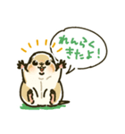 ジリスちゃんフキダシLINEスタンプ（個別スタンプ：12）