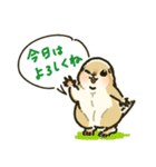 ジリスちゃんフキダシLINEスタンプ（個別スタンプ：14）