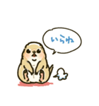 ジリスちゃんフキダシLINEスタンプ（個別スタンプ：27）