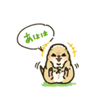 ジリスちゃんフキダシLINEスタンプ（個別スタンプ：33）