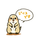 ジリスちゃんフキダシLINEスタンプ（個別スタンプ：37）