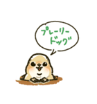 ジリスちゃんフキダシLINEスタンプ（個別スタンプ：38）