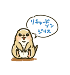 ジリスちゃんフキダシLINEスタンプ（個別スタンプ：39）