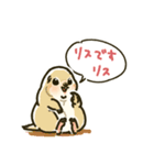 ジリスちゃんフキダシLINEスタンプ（個別スタンプ：40）