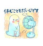 インコちゃんたちの夏スタンプ（個別スタンプ：12）