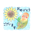 インコちゃんたちの夏スタンプ（個別スタンプ：13）