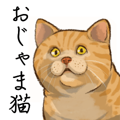 [LINEスタンプ] 猫はいつだって邪魔をする