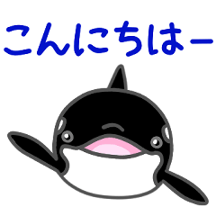 [LINEスタンプ] シャチのぽぽちゃん(マスコット風)その2