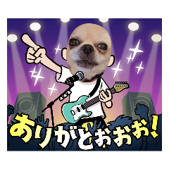 [LINEスタンプ] kuucanfamily