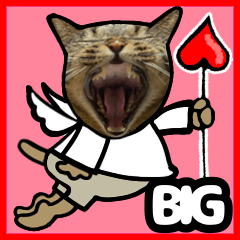 [LINEスタンプ] 猫キジトラBIGスタンプ5