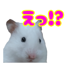 [LINEスタンプ] えのきともやしの日常