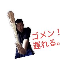 [LINEスタンプ] いつでもヒラシ