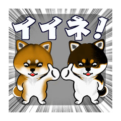 [LINEスタンプ] シバ ブラザーズ