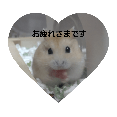 [LINEスタンプ] ハムスターのモカちゃん・挨拶・敬語