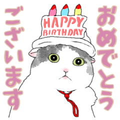 [LINEスタンプ] 白黒兄弟ねこ