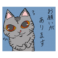 [LINEスタンプ] まなこの眼(まなこ)でみた猫達