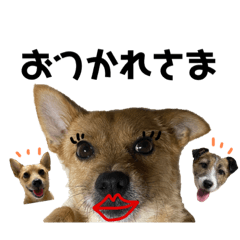 [LINEスタンプ] なにかと使うやつ