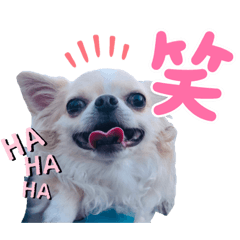 [LINEスタンプ] m.r.r.c