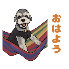 [LINEスタンプ] ミニチュアシュナウザー2