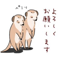 [LINEスタンプ] ほんわかミーアキャット2【お仕事】