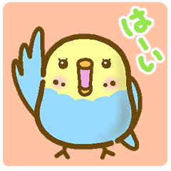 [LINEスタンプ] 毎日◎まるまるインコさん(黄×青)