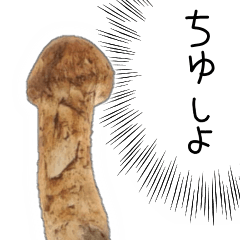 [LINEスタンプ] マツタケくん。【キノコ・ネタ】