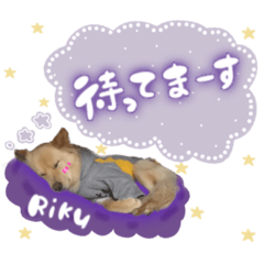 [LINEスタンプ] rikuさん専用