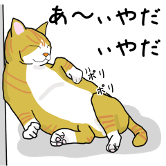 [LINEスタンプ] 茶トラ白のハチワレ猫