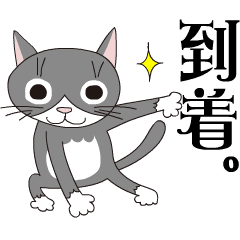 [LINEスタンプ] 野良猫たまくん