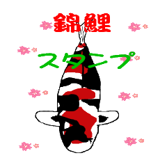 [LINEスタンプ] 錦鯉に恋して【修正版】
