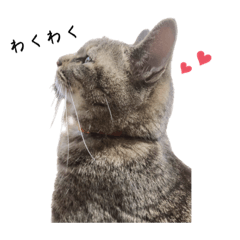 [LINEスタンプ] のんにま
