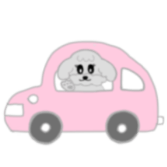 [LINEスタンプ] トイプードル 交通移動スタンプ