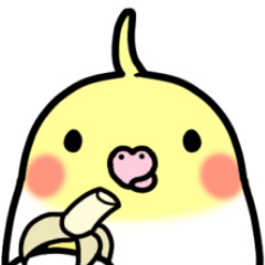 [LINEスタンプ] オカメインコのちきんちゃん☆5