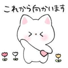 [LINEスタンプ] ふんわりしろねこちゃんのスタンプ01