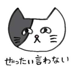 [LINEスタンプ] 信用できない猫