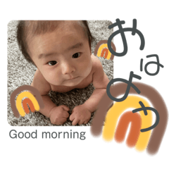 [LINEスタンプ] こっちゃん★スタンプ①