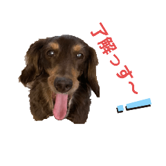 [LINEスタンプ] ギルボさんのスタンプ