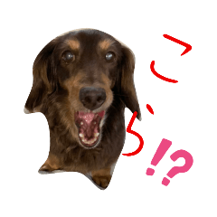 [LINEスタンプ] ギルボさんのスタンプ2