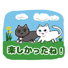 [LINEスタンプ] きよ子の猫ちゃんスタンプ (日本語と英語)