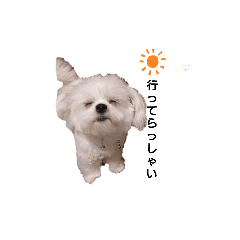 [LINEスタンプ] ぺキビジョンきりたん