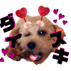 [LINEスタンプ] Lilly❤︎