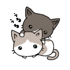 [LINEスタンプ] チムとチャムの仲良しネコスタンプ