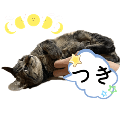 [LINEスタンプ] つきくんの少年時代