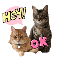 [LINEスタンプ] 茶々＆とと