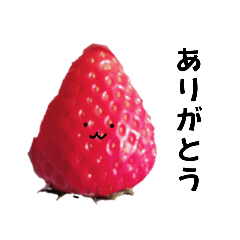 [LINEスタンプ] ただのいちごだよ