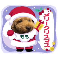 [LINEスタンプ] モモ君スタンプ
