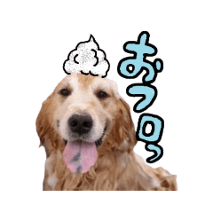 [LINEスタンプ] ボクのブランカ