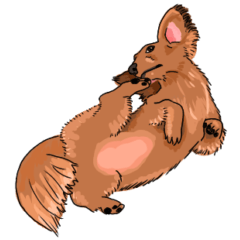 [LINEスタンプ] ミニチュアダックスフンド 足の短い犬