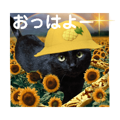 [LINEスタンプ] うちの黒ねこニャンズ3